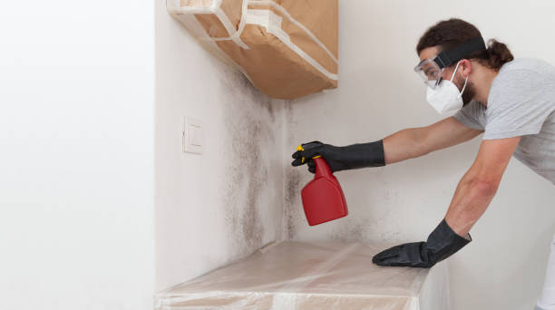 Professional Attic Mold Remediation technician working in Warrenton, OR