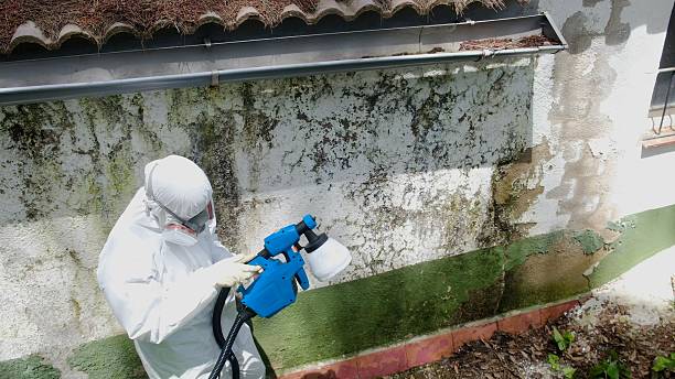 Top rated local Attic Mold Remediation specialists in Warrenton, OR